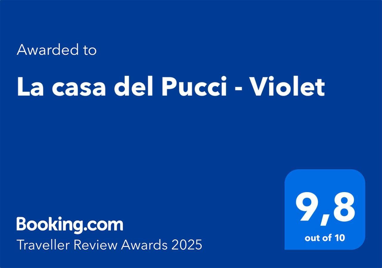 Violet - La Casa Del Pucci Apartment Lucca Luaran gambar